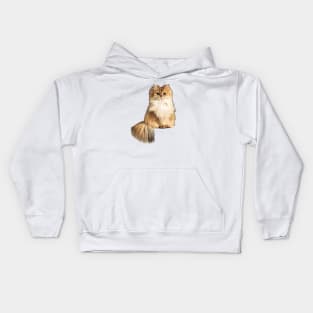 British Longhair Cat Kids Hoodie